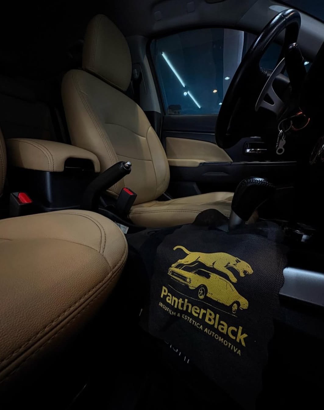 Higienização Interna